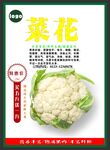 菜花海报