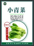 小青菜海报