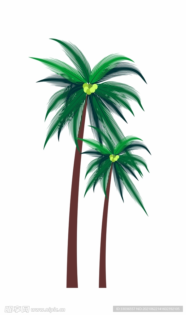 椰子树矢量