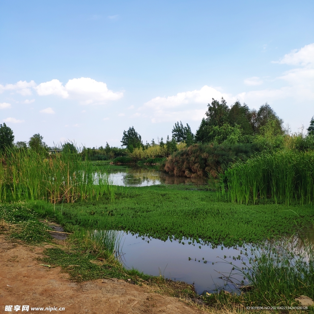 滇池北湿地