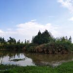 滇池湿地