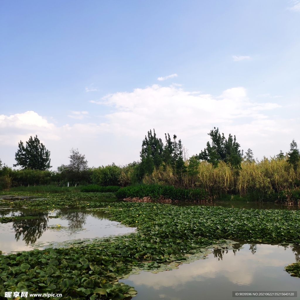 滇池湿地