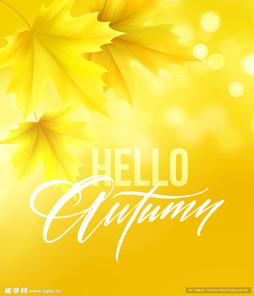 秋天黄色枫叶海报设计