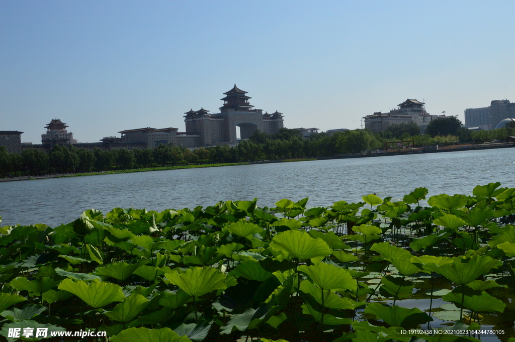 园林风景  