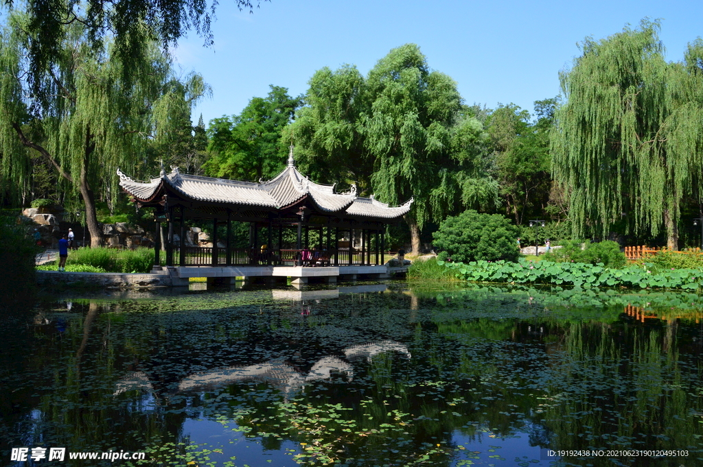 园林风景 