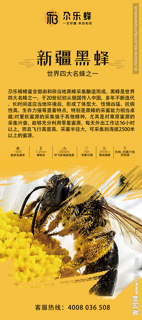 尕乐蜂黑蜂简介