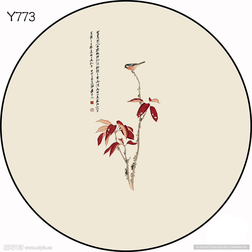 圆Y773