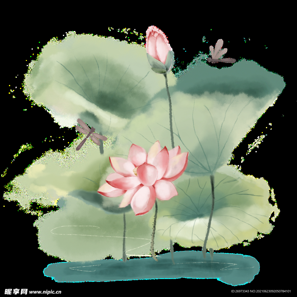 中国风水墨荷花