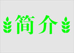 边框