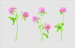 小花