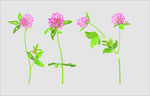 小花