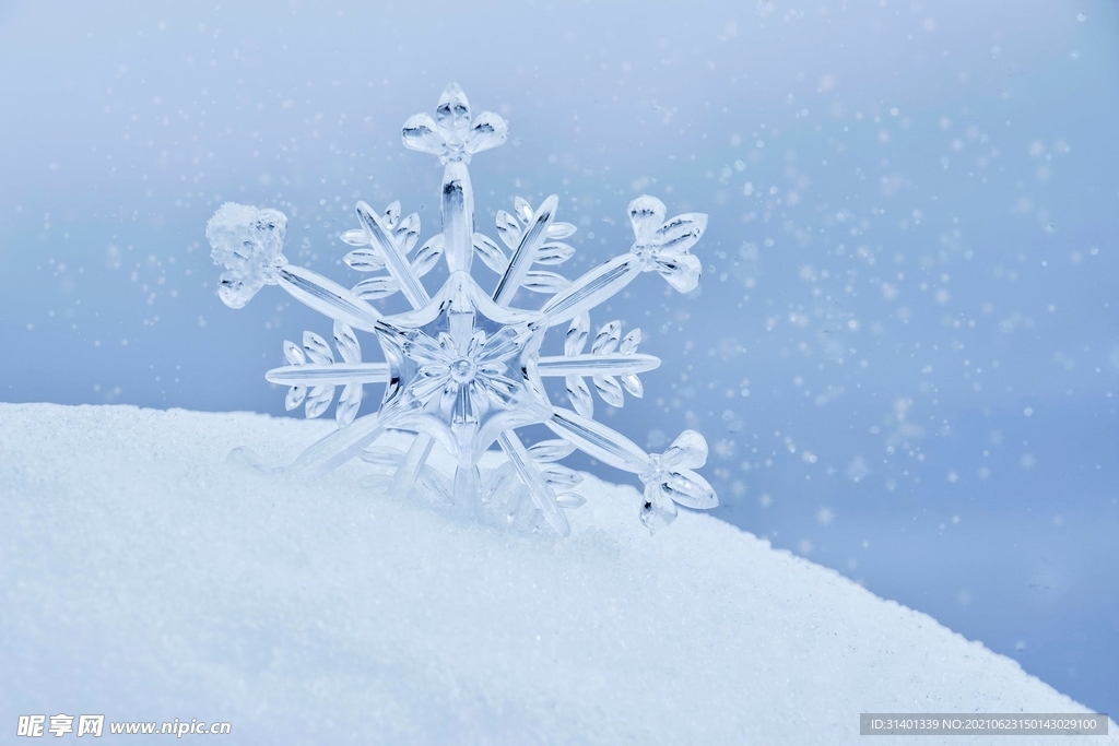 雪花