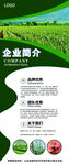 公司简介