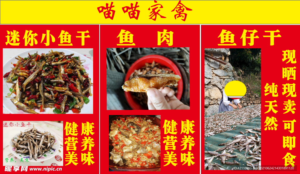 喵喵家禽宣传三鸟