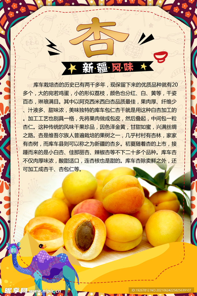 杏子介绍