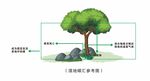 湿地碳汇系统矢量图