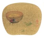 甲虫青茶