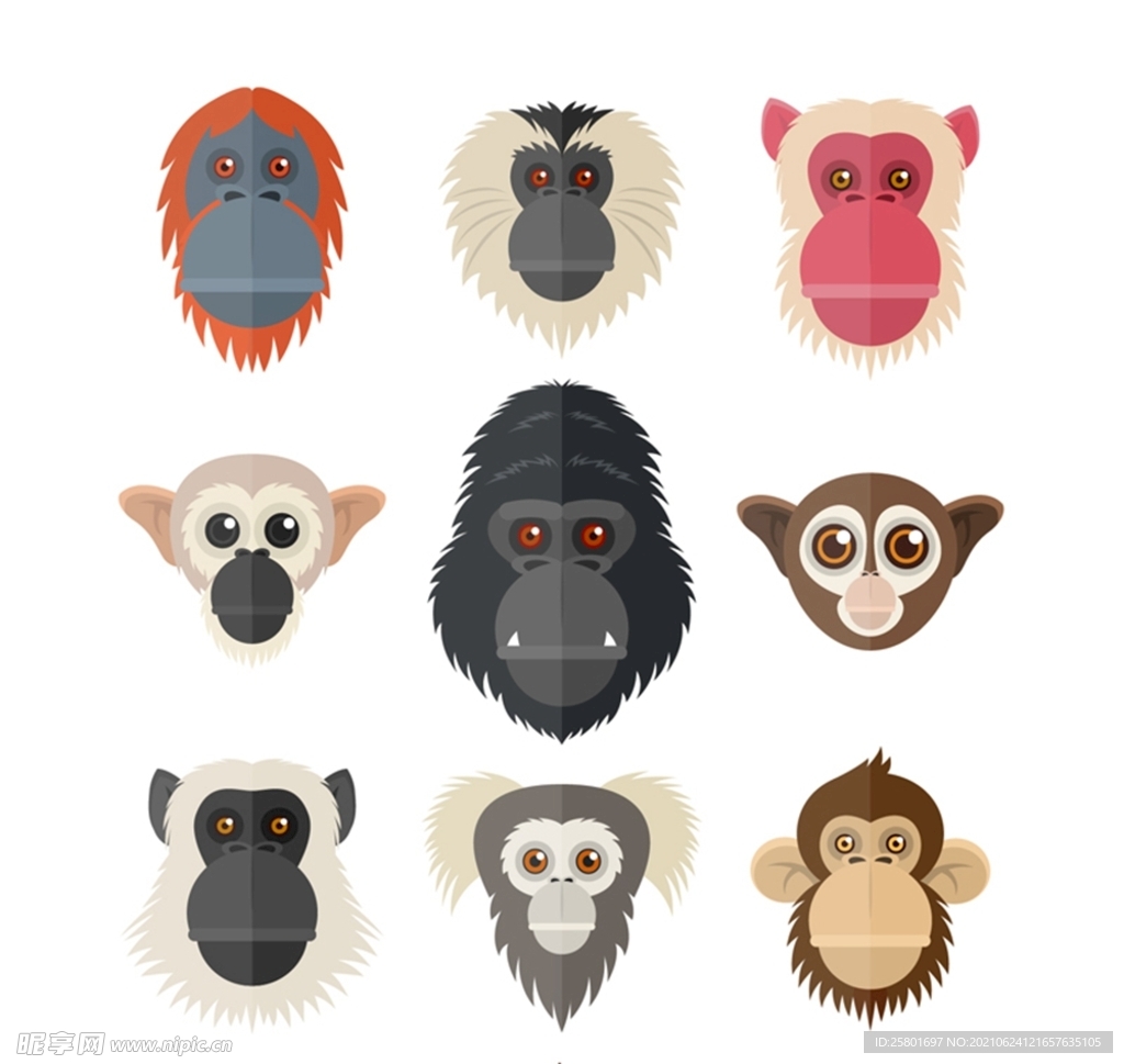 猴子和猩猩头像