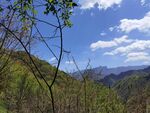 大山风景