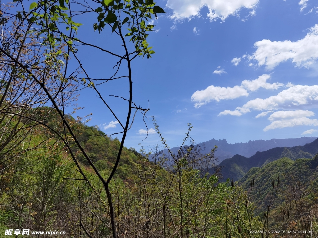 大山风景