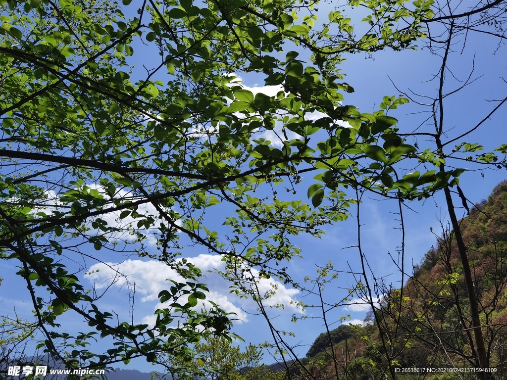大山风景