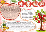 水果知识小报