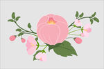 小花