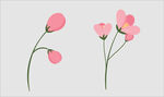小花