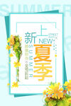 小清新夏季上新海报