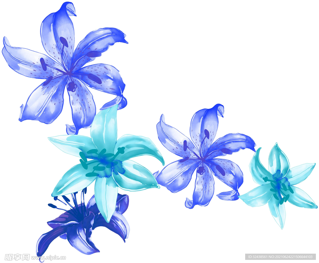 百合花