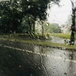 车窗的雨