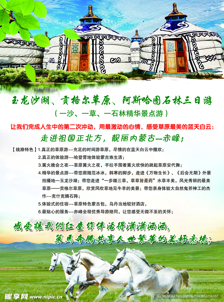旅游DM单