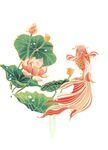 鱼与荷花