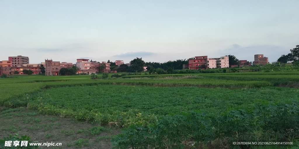 田野风景