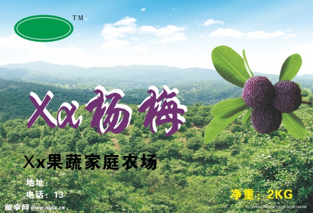 杨梅海报