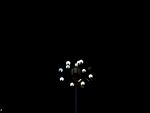 夜晚