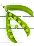 蔬菜