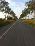 公路