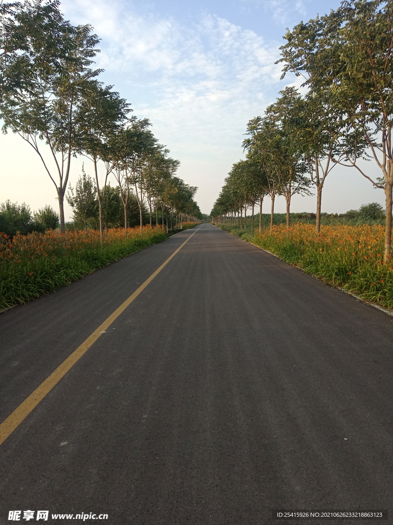 公路