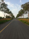 公路
