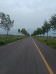 公路