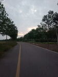 公路