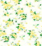黄花