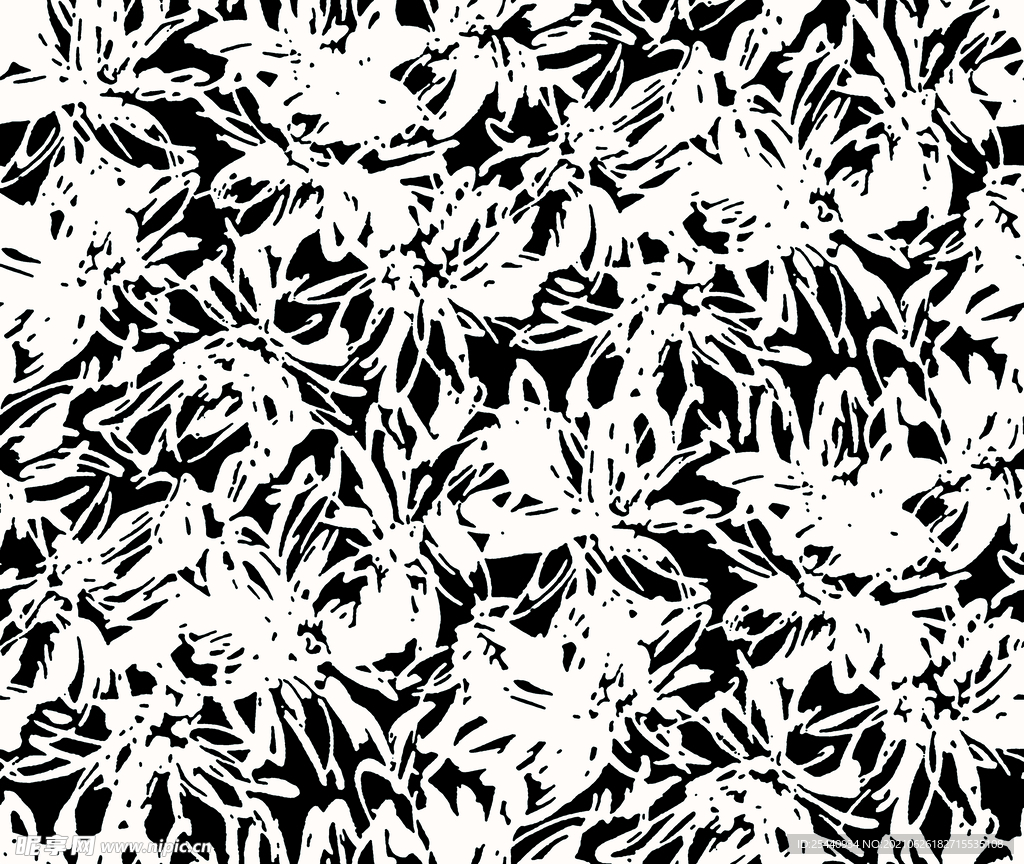 黑白花