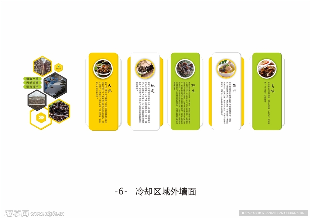 木耳文化墙