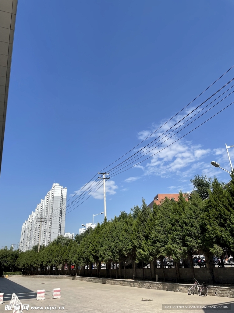 T天