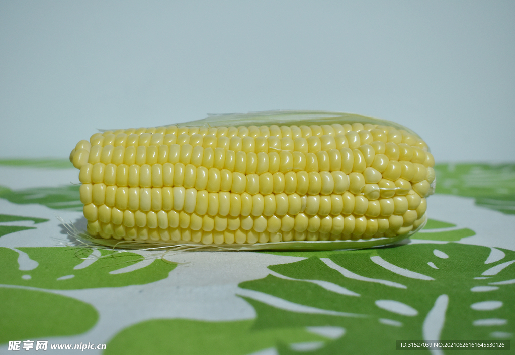 饱满的玉米摄影图