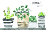 手绘植物插画
