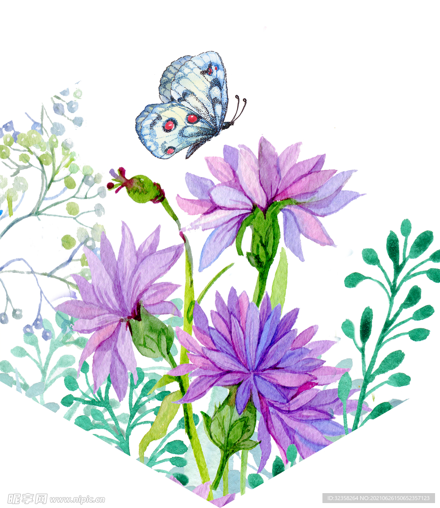 花卉蝴蝶