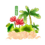 荷花 